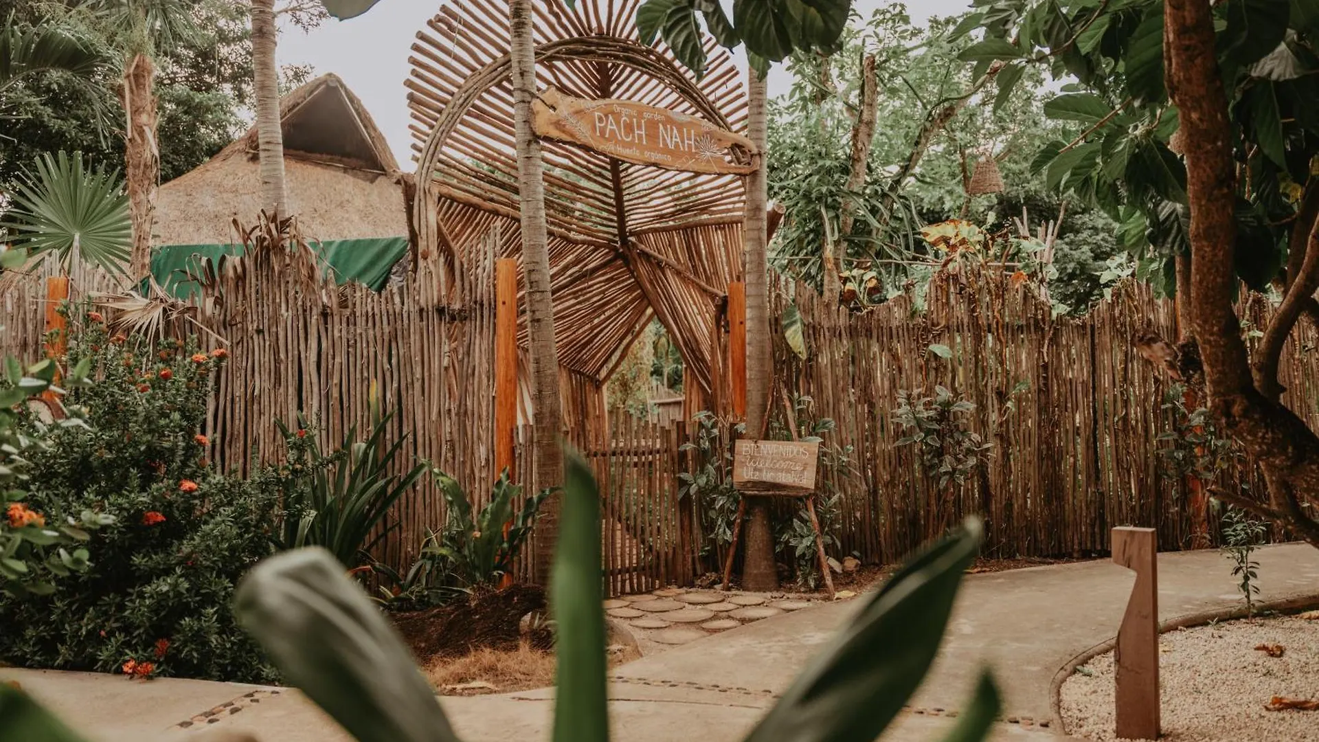 Petit Lafitte Beach Front Hotel & Bungalows Playa del Carmen Meksyk
