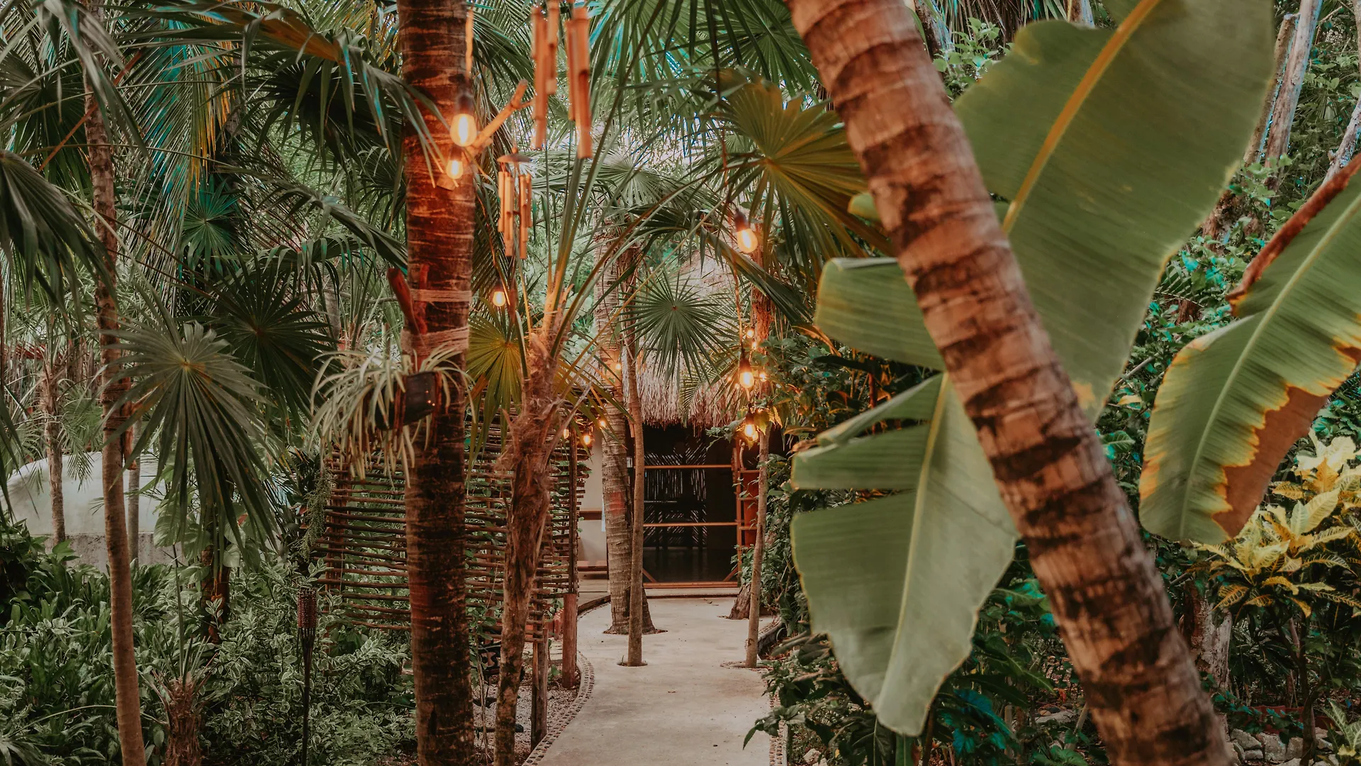 Petit Lafitte Beach Front Hotel & Bungalows Playa del Carmen 4*,  Mexico