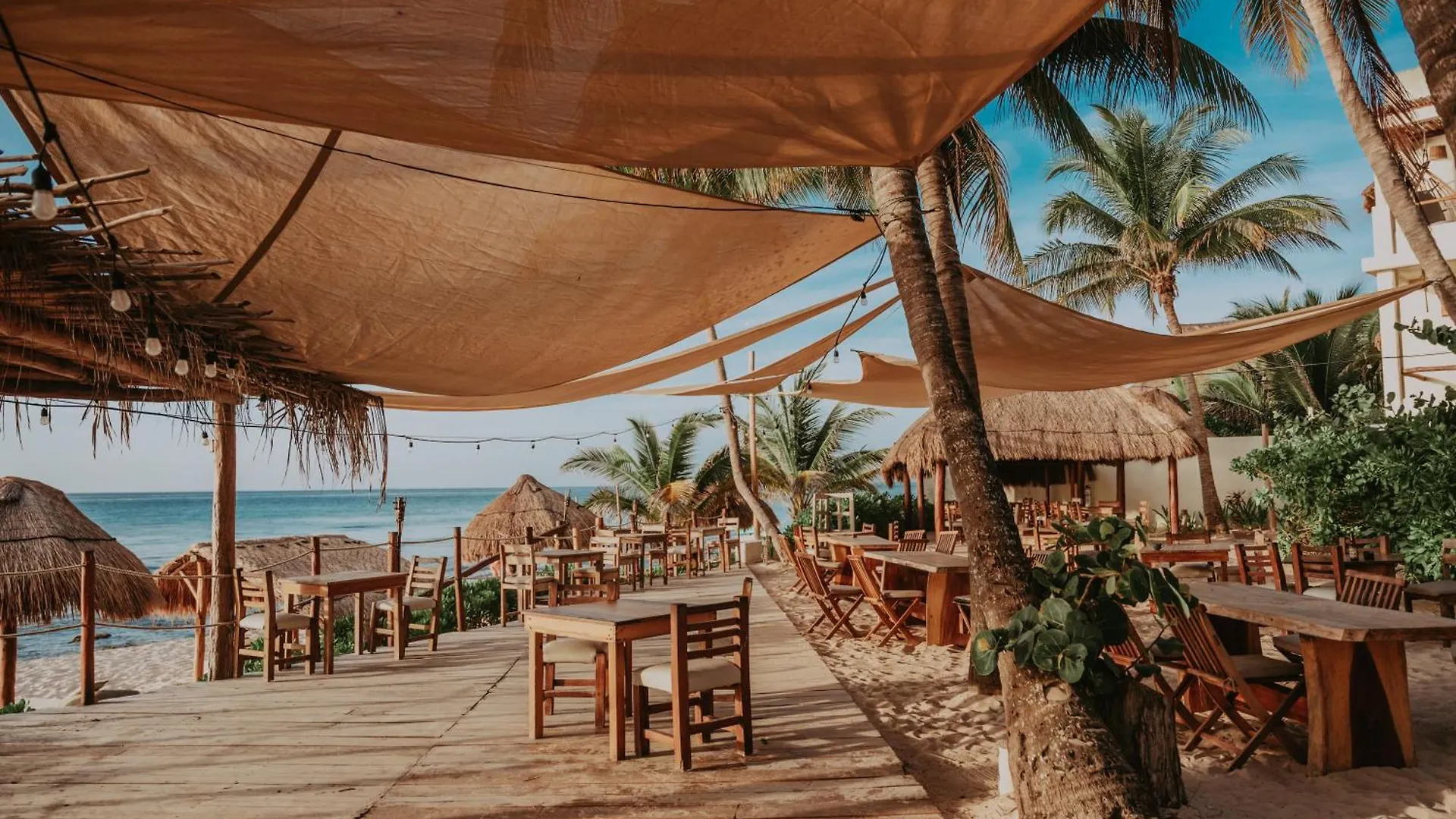 Petit Lafitte Beach Front Hotel & Bungalows Playa del Carmen