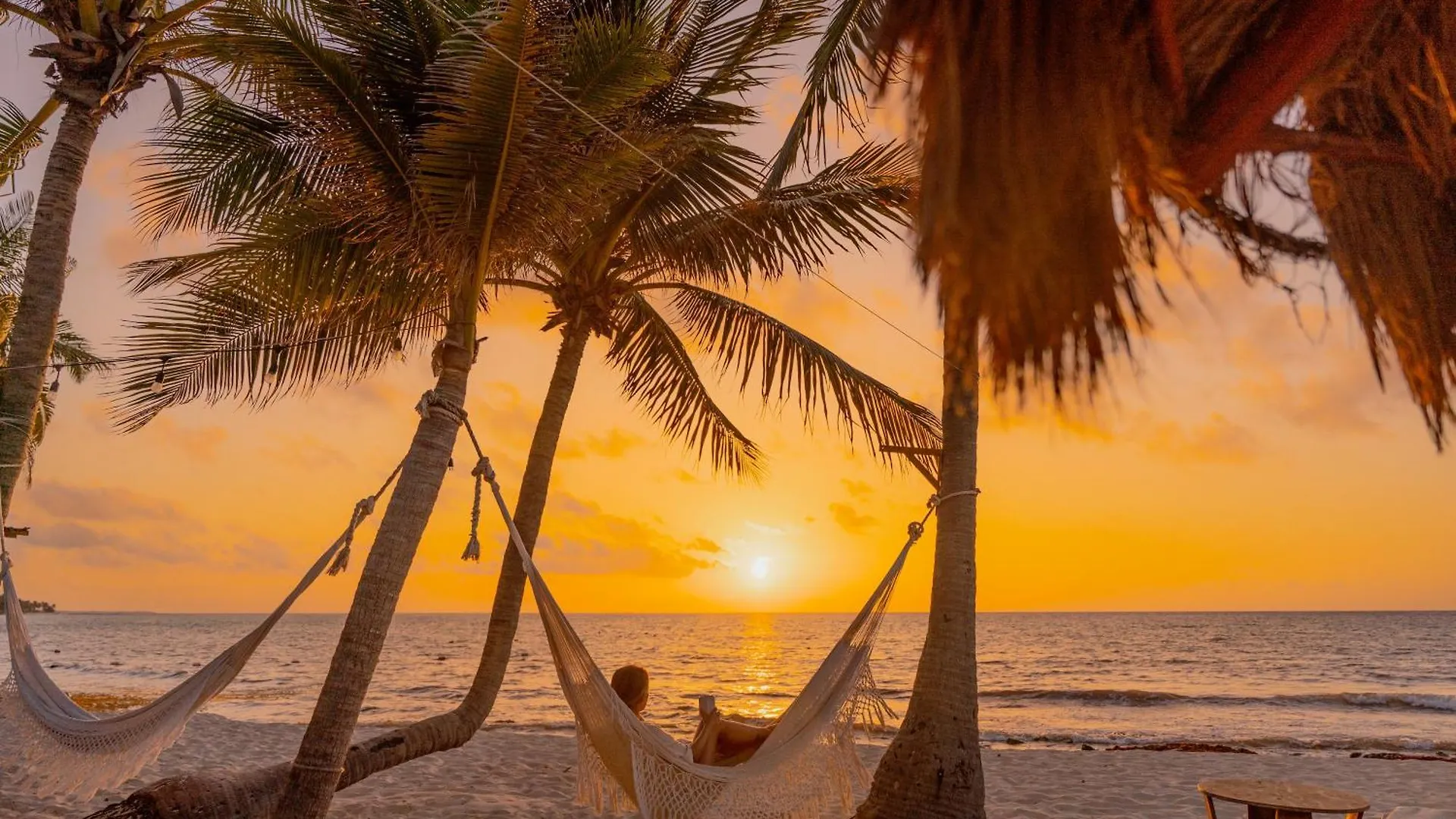 Petit Lafitte Beach Front Hotel & Bungalows Playa del Carmen