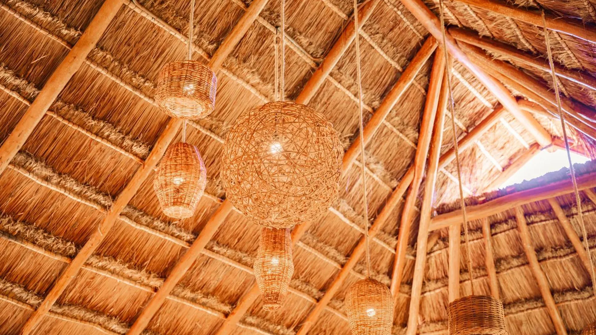 Petit Lafitte Beach Front Hotel & Bungalows Playa del Carmen