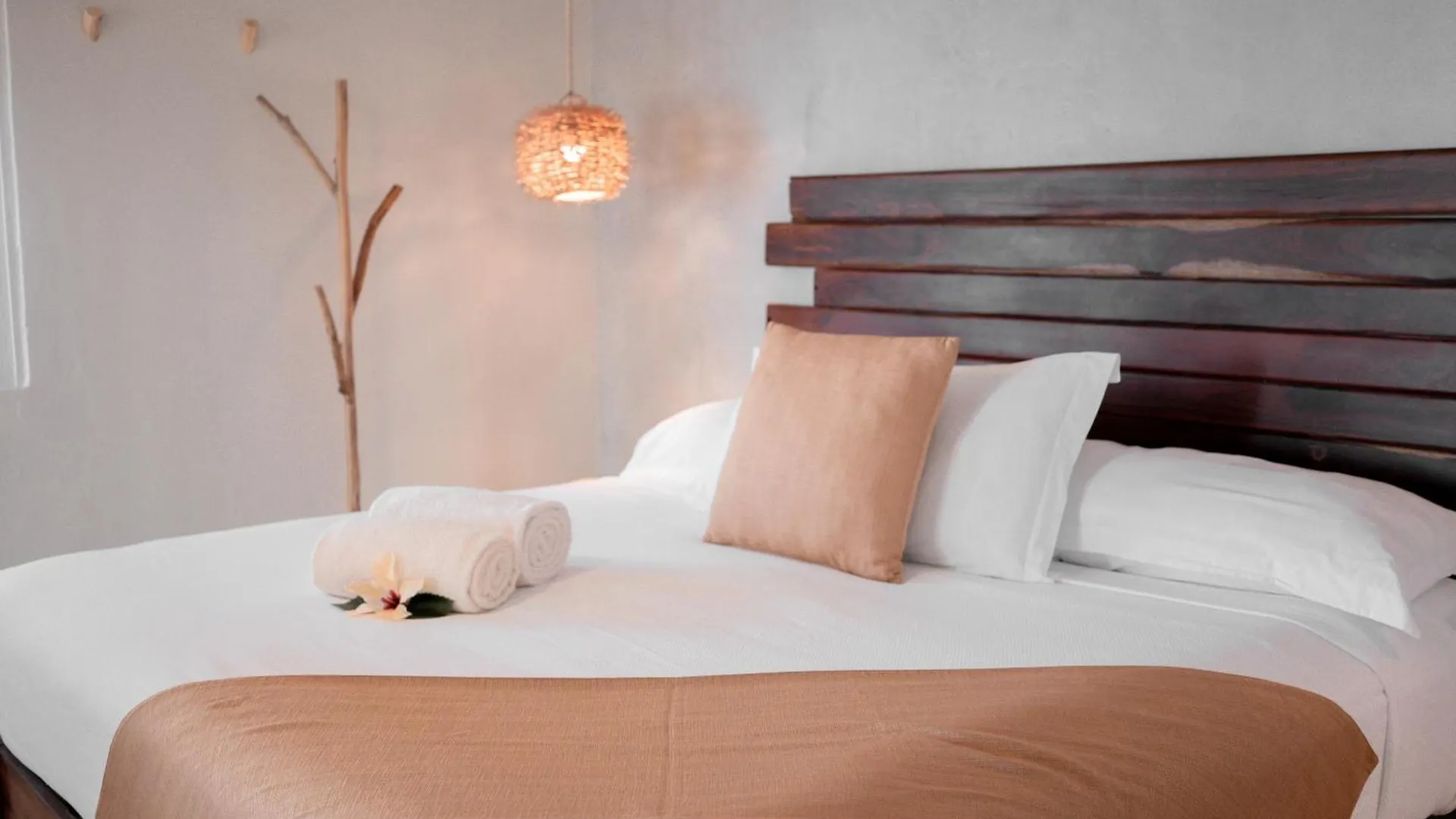 Petit Lafitte Beach Front Hotel & Bungalows Playa del Carmen