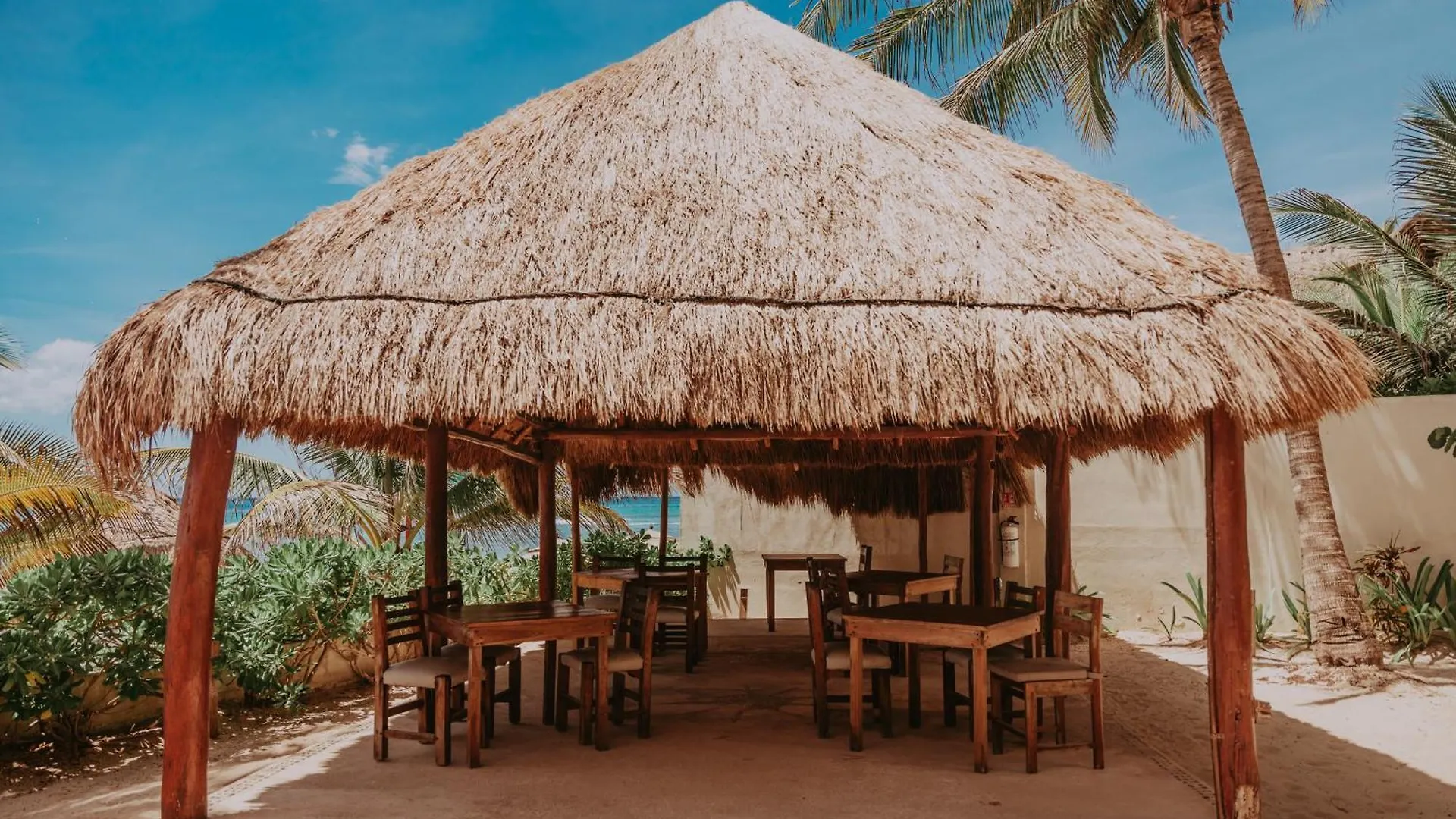 Petit Lafitte Beach Front Hotel & Bungalows Playa del Carmen Meksyk